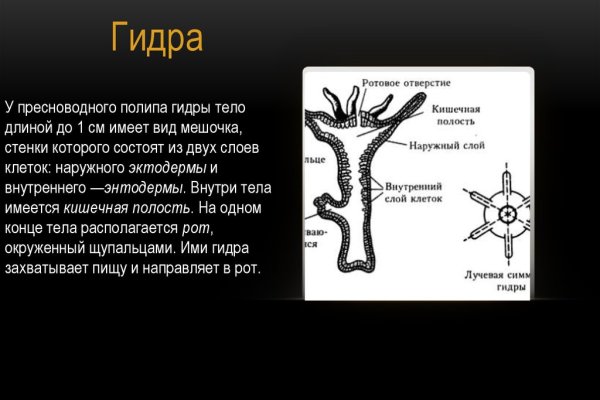 Сайт кракен онион